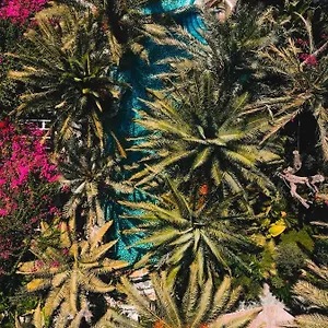 Hotel Flamingo Hotel&spa - Pet Friendly ***